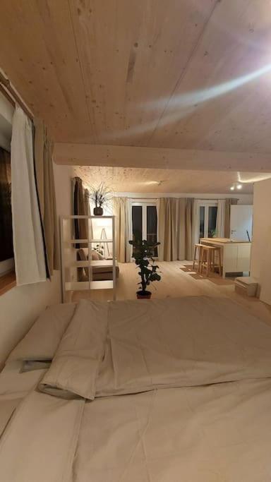 Apartment Stern