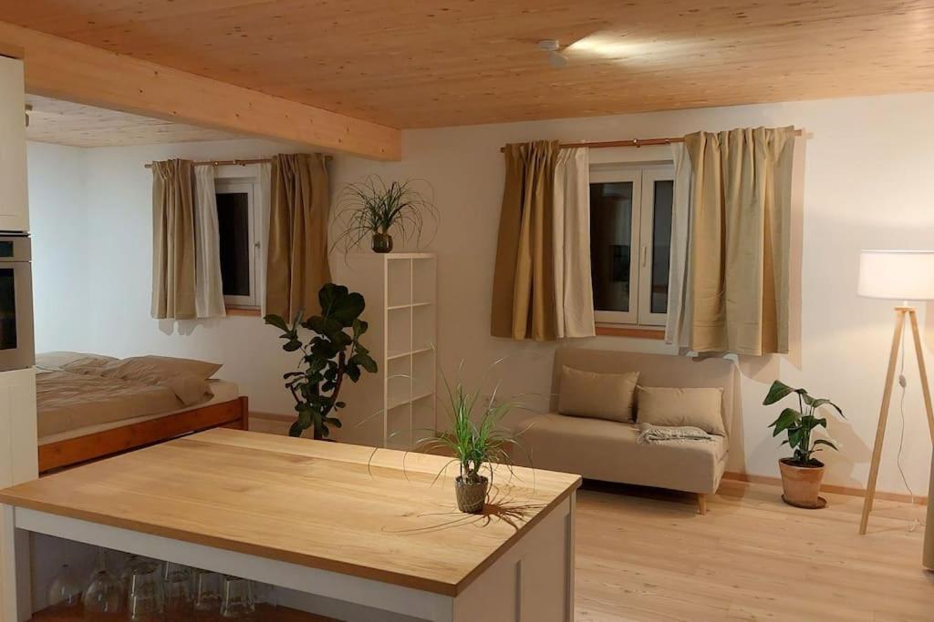 Stern Apartment *